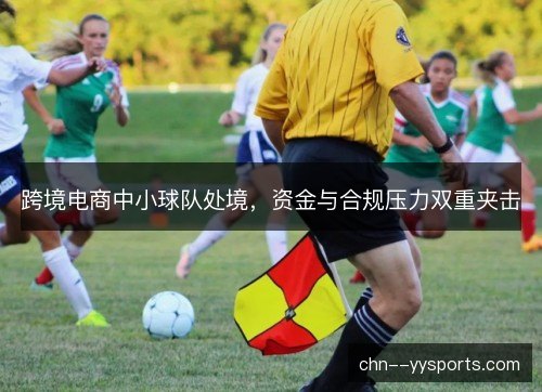 跨境电商中小球队处境，资金与合规压力双重夹击